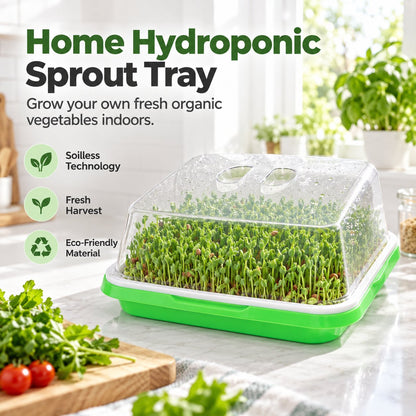 🌱🥬 Bac de culture hydroponique pour semis – Cultivez vous-même des légumes frais sans terreau