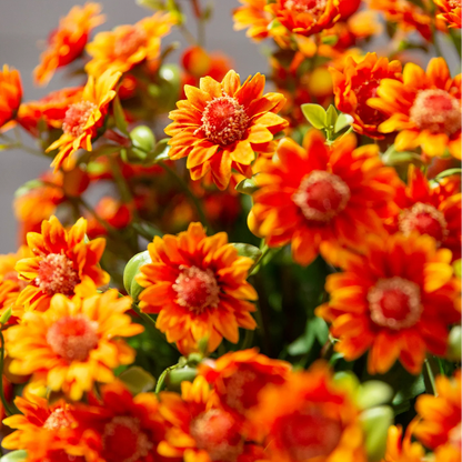 🌼- Fleurs artificielles : chrysanthèmes d'extérieur imitant un coucher de soleil - résistants aux UV, imperméables, résistants au vent