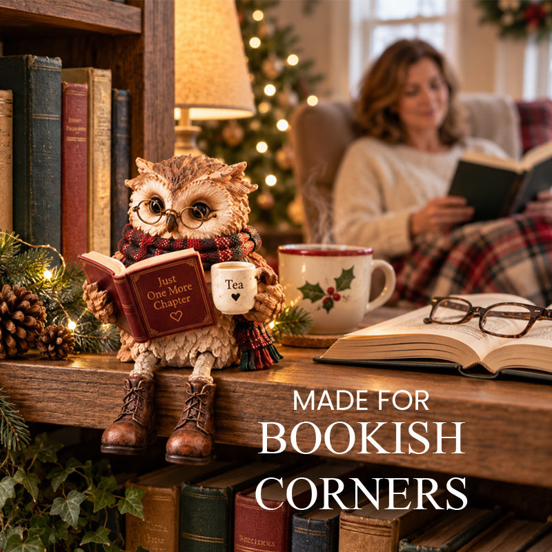 🦉📚 Décoration Chouette qui lit  – Une touche chaleureuse pour tous les lecteurs ! ✨