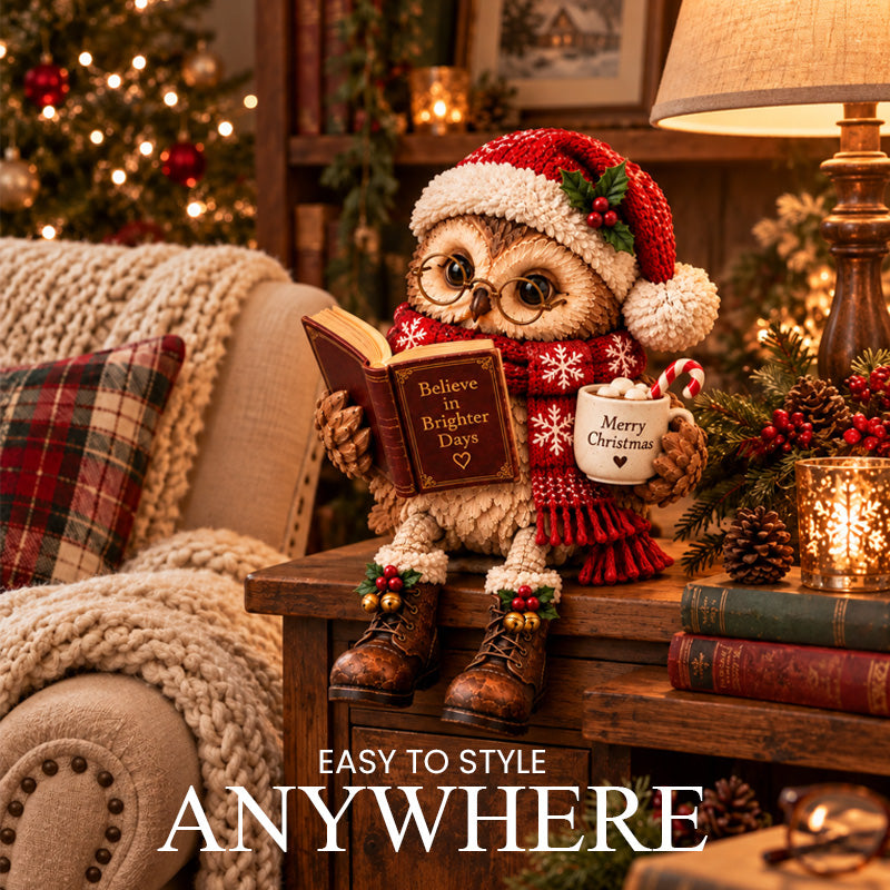 🦉📚 Décoration Chouette qui lit  – Une touche chaleureuse pour tous les lecteurs ! ✨