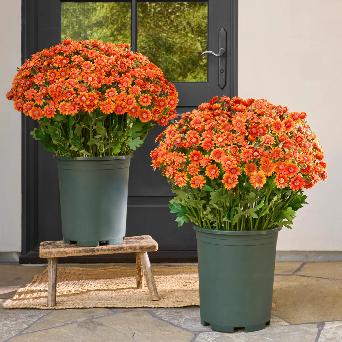 🌼- Fleurs artificielles : chrysanthèmes d'extérieur imitant un coucher de soleil - résistants aux UV, imperméables, résistants au vent