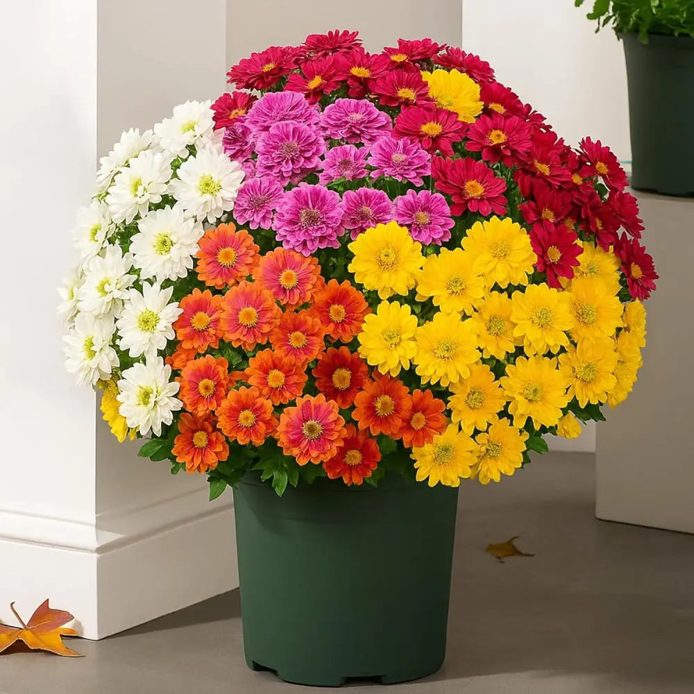 🌼- Fleurs artificielles : chrysanthèmes d'extérieur imitant un coucher de soleil - résistants aux UV, imperméables, résistants au vent