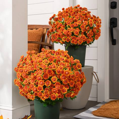 🌼- Fleurs artificielles : chrysanthèmes d'extérieur imitant un coucher de soleil - résistants aux UV, imperméables, résistants au vent