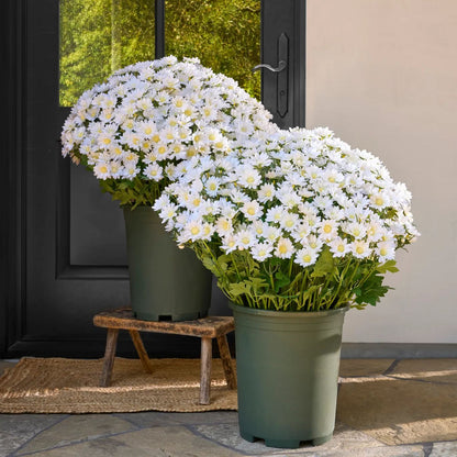 🌼- Fleurs artificielles : chrysanthèmes d'extérieur imitant un coucher de soleil - résistants aux UV, imperméables, résistants au vent