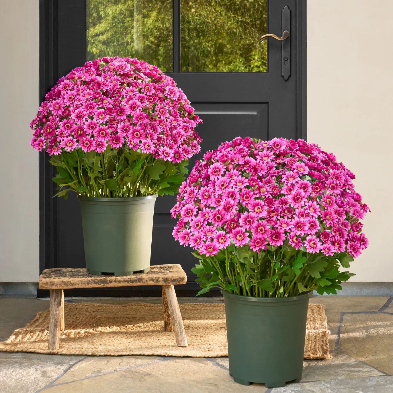 🌼- Fleurs artificielles : chrysanthèmes d'extérieur imitant un coucher de soleil - résistants aux UV, imperméables, résistants au vent
